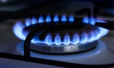 ШАРДАРАДА КӨГІЛДІР ОТЫН МӘСЕЛЕСІ 2023 ЖЫЛҒА ҚАРАЙ ТОЛЫҚ ШЕШІЛЕДІ ШАРДАРАДА КӨГІЛДІР ОТЫН МӘСЕЛЕСІ 2023 ЖЫЛҒА ҚАРАЙ ТОЛЫҚ ШЕШІЛЕДІ