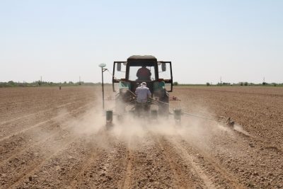 КҮНГЕЙЛІК ШАРУАЛАР МАҚТА ЕГУ НАУҚАНЫНА ЖАППАЙ КІРІСІП КЕТТІ КҮНГЕЙЛІК ШАРУАЛАР МАҚТА ЕГУ НАУҚАНЫНА ЖАППАЙ КІРІСІП КЕТТІ