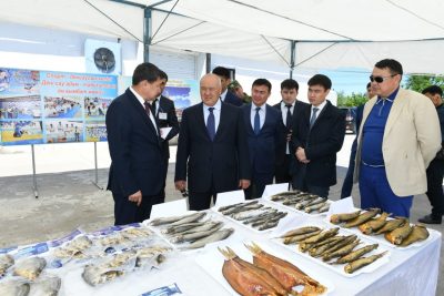 ШӨКЕЕВ ШАРДАРАЛЫҚ ШАРУАЛАРДЫҢ ЖҰМЫСЫМЕН ТАНЫСТЫ ШӨКЕЕВ ШАРДАРАЛЫҚ ШАРУАЛАРДЫҢ ЖҰМЫСЫМЕН ТАНЫСТЫ