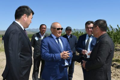 Өмірзақ ШӨКЕЕВ, облыс әкімі: «ТҮЛКІБАСТА ЖЕКЕ ТҰРҒЫН ҮЙ АЛҚАПТАРЫН КӨБЕЙТУ ҚАЖЕТ» Өмірзақ ШӨКЕЕВ, облыс әкімі: «ТҮЛКІБАСТА ЖЕКЕ ТҰРҒЫН ҮЙ АЛҚАПТАРЫН КӨБЕЙТУ ҚАЖЕТ»