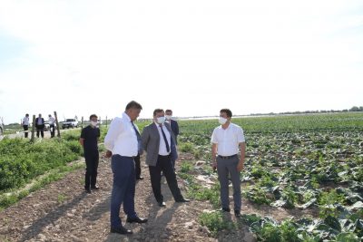 МАҚТААРАЛДА ҚЫРЫҚҚАБАТ ӨНІМІН САТУҒА ДИСТРИБЬЮТОР КӨМЕКТЕСЕДІ МАҚТААРАЛДА ҚЫРЫҚҚАБАТ ӨНІМІН САТУҒА ДИСТРИБЬЮТОР КӨМЕКТЕСЕДІ
