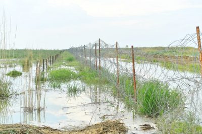 МАҚТААРАЛ: ЖАҢАТҰРМЫС ЕЛДІ МЕКЕНІНДЕ СУ ДЕҢГЕЙІ 17 СМ-ГЕ ТӨМЕНДЕДІ МАҚТААРАЛ: ЖАҢАТҰРМЫС ЕЛДІ МЕКЕНІНДЕ СУ ДЕҢГЕЙІ 17 СМ-ГЕ ТӨМЕНДЕДІ